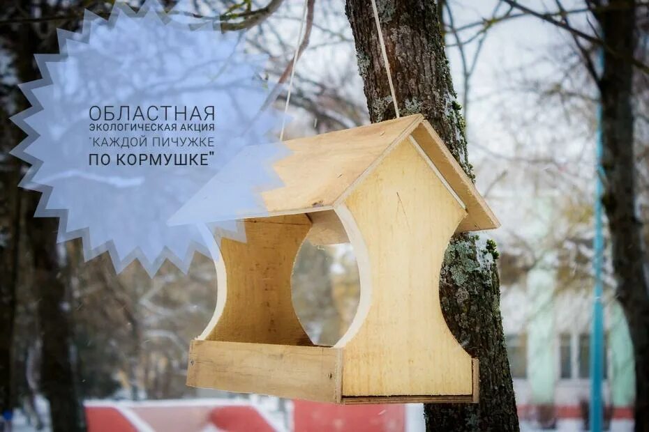 каждой пичужке кормушка акция. конкурс каждой пичужке по кормушке. акция каждой пичужке по кормушке. каждой пичужке кормушка акция в детском саду. акция кормушка.