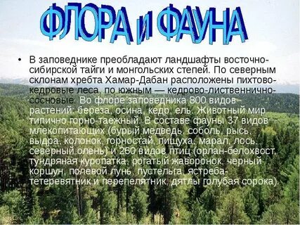 В восточной сибири преобладают