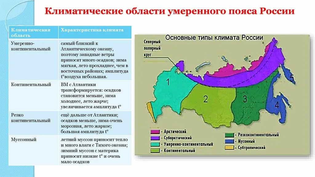 Какие страны теплые зимой