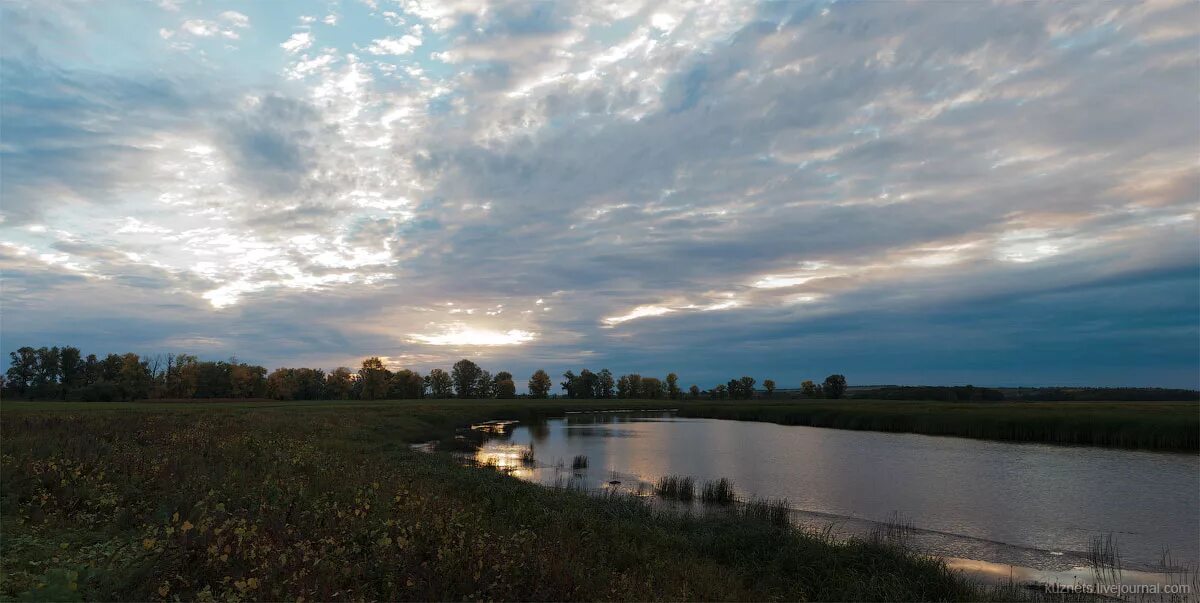 природа нижнего поволжья волга. великая река волга. реки поволжского района. нижнее поволжье ландшафт. поволжье сейчас.