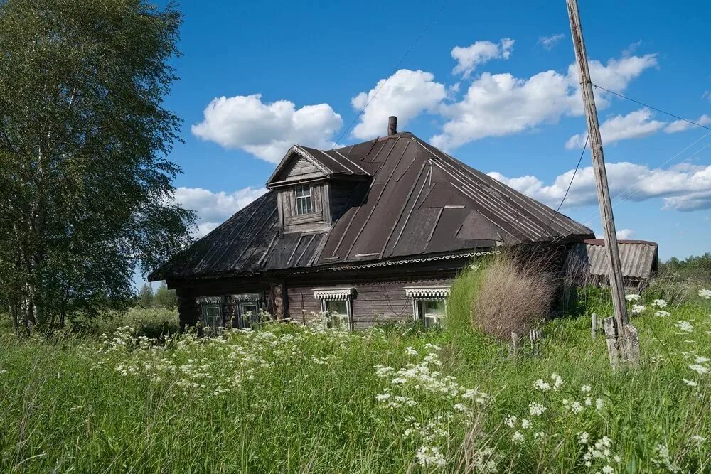 Деревенский решить. Деревня Ликино Ярославская область. Домик заросший бурьяном в деревне. Живая деревня. Деревенский малый.