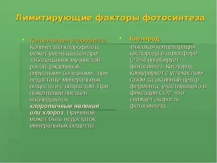 Факторы скорости фотосинтеза