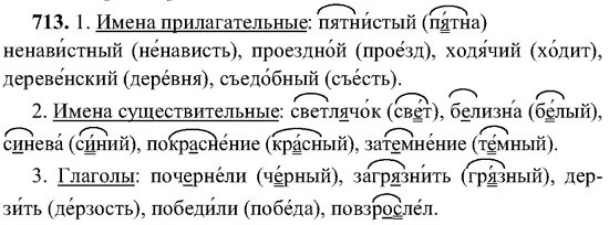 Русский язык стр 113 упр 713. Русский язык 5 класс разумовская. упражнение 713 по русскому языку. русский язык 5 класс упражнение 713.