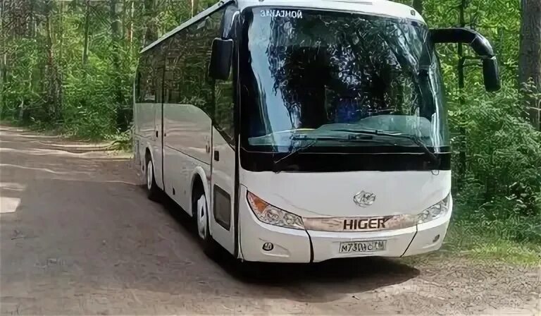 Аренда автобусов казань для детей