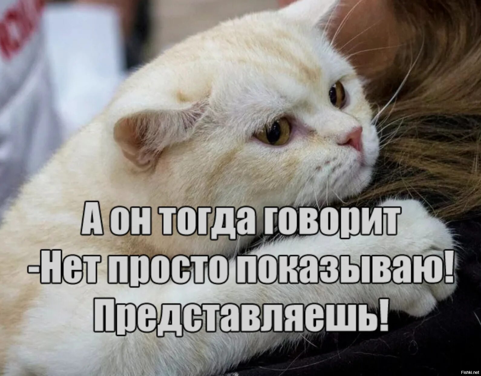 Проще нету