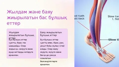 Мас орыс жігіттері мас орысты сигийді