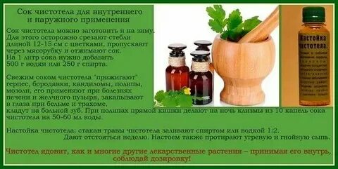 Соком чистотела лечат заболевания кожи разбор предложения