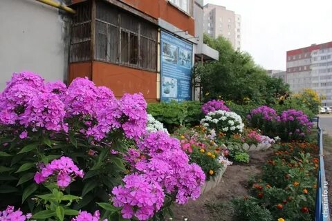 Цветников 8