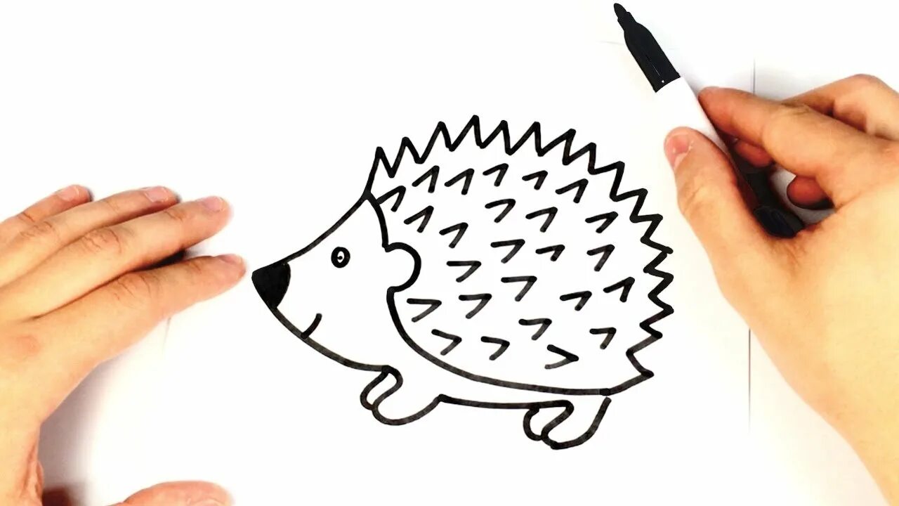 Пошаговое рисование ежика. Нарисовать ежа поэтапно карандашом для детей. Как нарисовать ежика. Нарисовать ёжика пошаговый рисунок для ребёнка. Ежик рисунок.