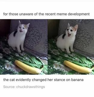 Банана кот мем