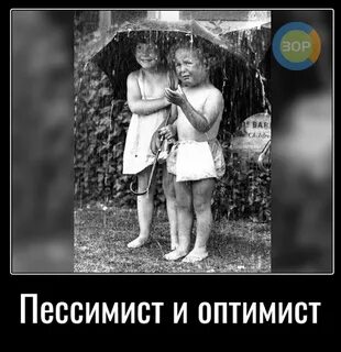 Оптимист европа