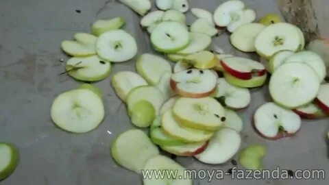 Режем яблоки для сушки