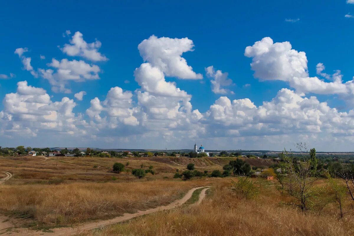 Станица шкуринская краснодарского края