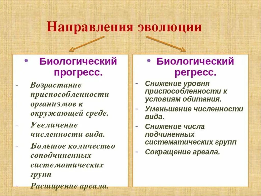 Направления эволюции биологический регресс