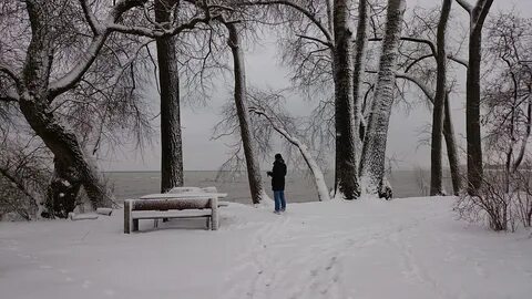 В зимнем парке текст