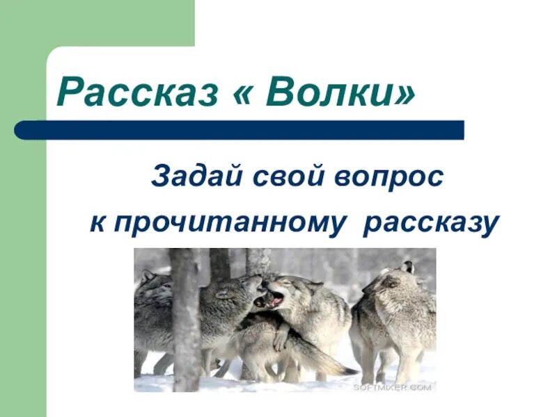 Волк для презентации. Расскажи презентацию волка. Рассказ про волка. Вопрос с волком для презентации.