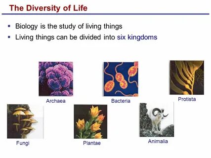 Grade biology