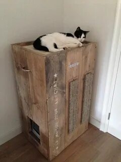 Спрячь кота