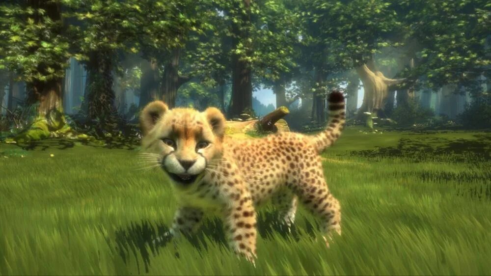 Начинаем игру животных. Kinectimals xbox 360. xbox 360 kinectimals 2011. kinectimals (xbox 360) lt+3.0. игры про животных.
