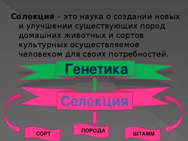 Селекция это наука о. Селекция наука о создании. Селекция как процесс и наука. Наука селекция гипотеза.