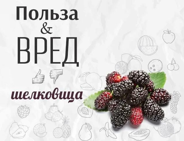 Шелковица польза и вред для человека. Шелковица полезная для здоровья. тутовник полезные свойства. тутовник польза и вред. шелковица ягода польза.