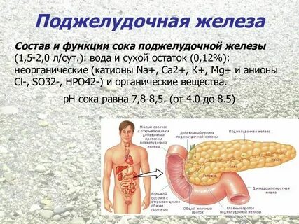 Поджелудочная железа по типу липоматоза что значит