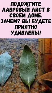 Зачем поджигают лавровый лист