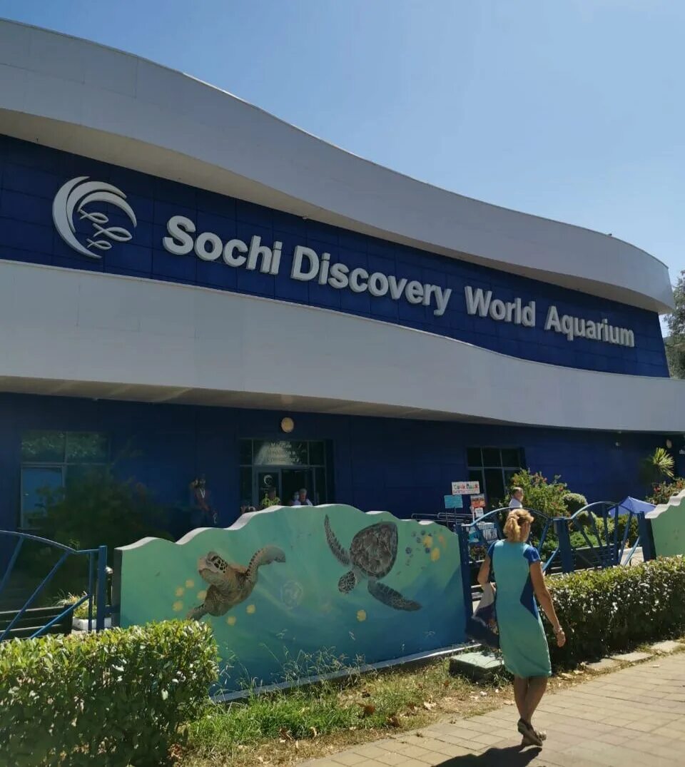 Океанариум Sochi Discovery World Aquarium. Океанариум Сочи Ленина 219а/4. Сочи Лазаревское океанариум. Океанариум Сочи площадь.