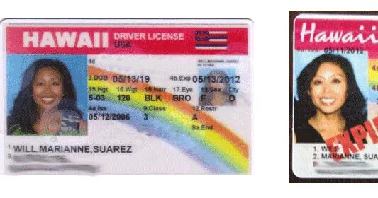 Hawaii driver license. Hawaii driver license. Hawaii driver license mclovin. Hawaii driver license. Mclovin driver license.