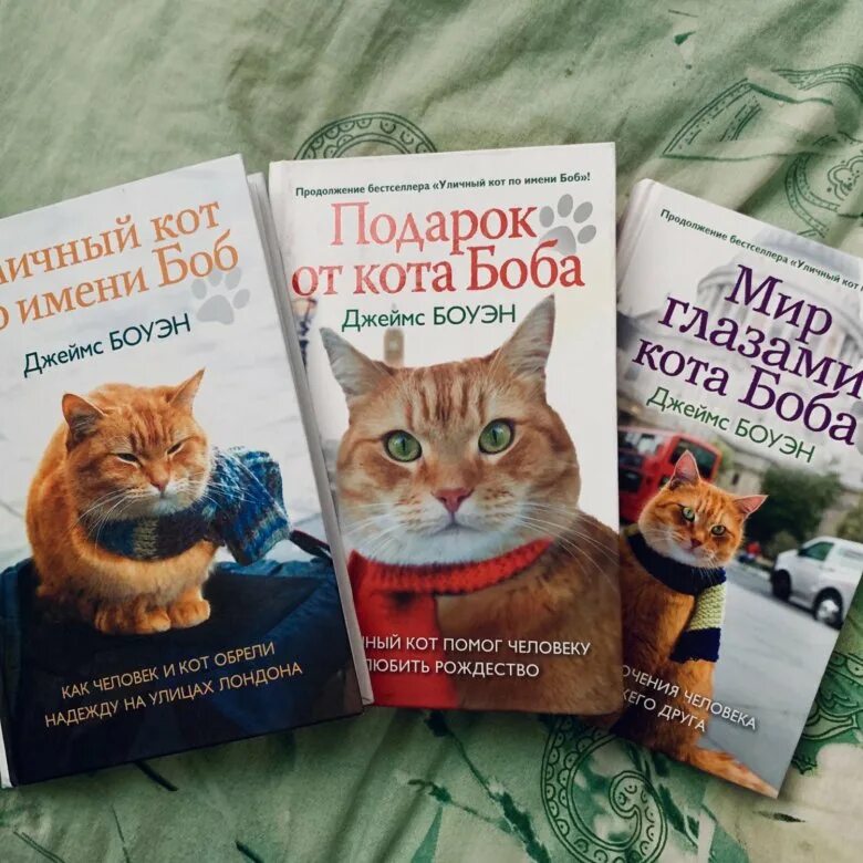 Книга про боба. Кот по имени Боб книга. Книги про котов. Кот с книгой. Кот с книжкой.