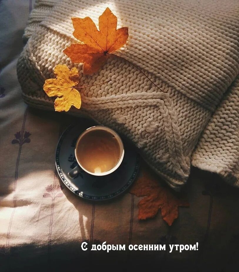 Доброе утро осень картинки тепла. Осенний кофе. осень кофе. осеннее утро. тёплая осень.