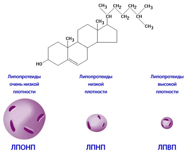 Пониженный холестерин лпвп в крови. Холестерин общая структурная формула. Химическая структура холестерина. Формула холестерина в химии. Холестерин формула структурная.