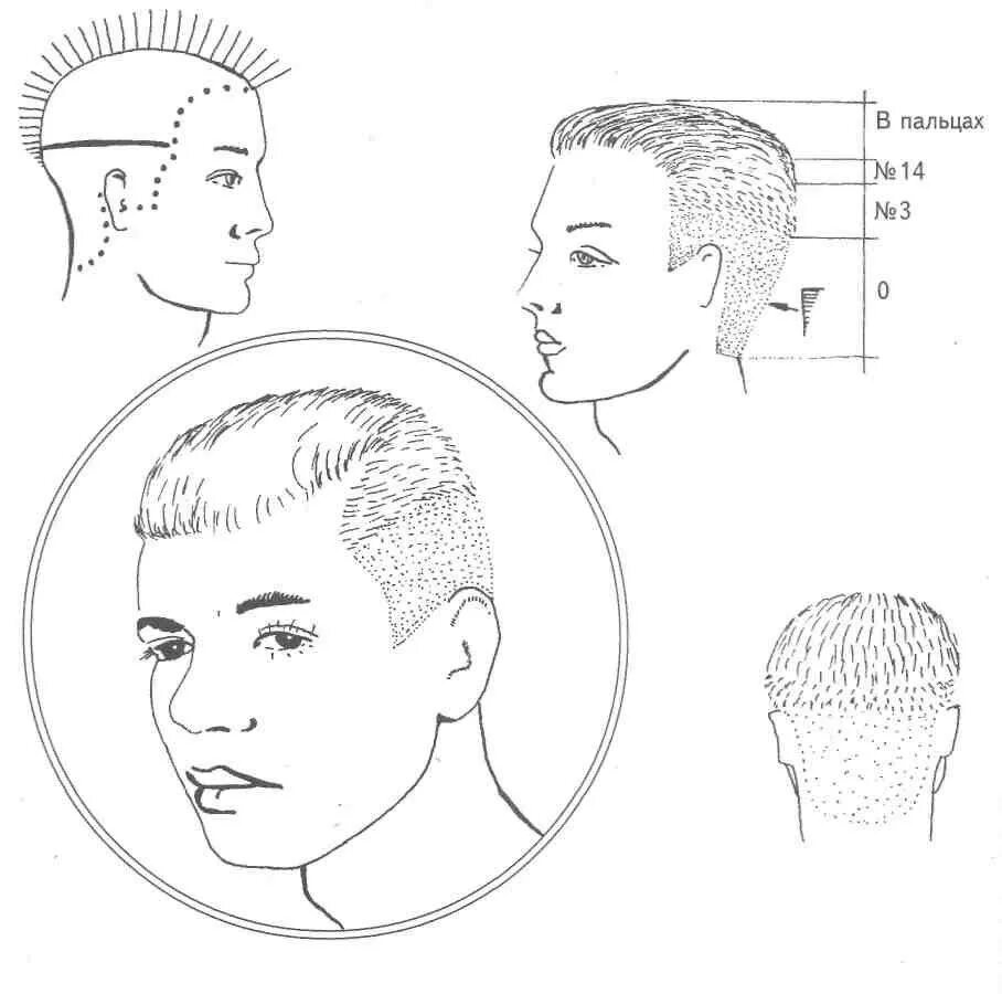 Подстричь мужчину для начинающих. Технология стрижки полубокс схема. Схема мужской стрижки полубокс. Схема стрижки полубокс машинкой. Схема мужской стрижки машинкой полубокс.
