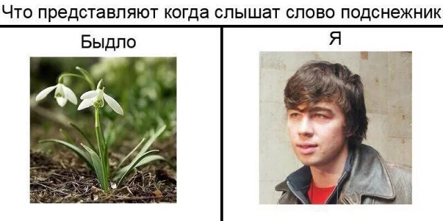 Моралфаг слова. Моралфаг. моралфаг мем. моралфага порвало. моралфаг антоним.