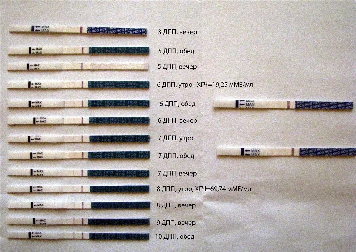 Тесты на беременность после подсадки эмбриона. Тесты на беременность после подсадки эмбриона 5. Эко тесты на беременность после переноса эмбриона. Тесты на беременность после переноса 2 эмбриона. Тесты на беременность по дням после переноса эмбрионов.
