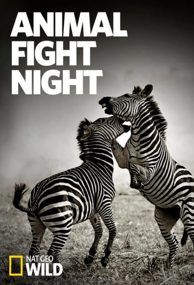 Stop fight. Бойцовский клуб для животных. Nat geo Wild.