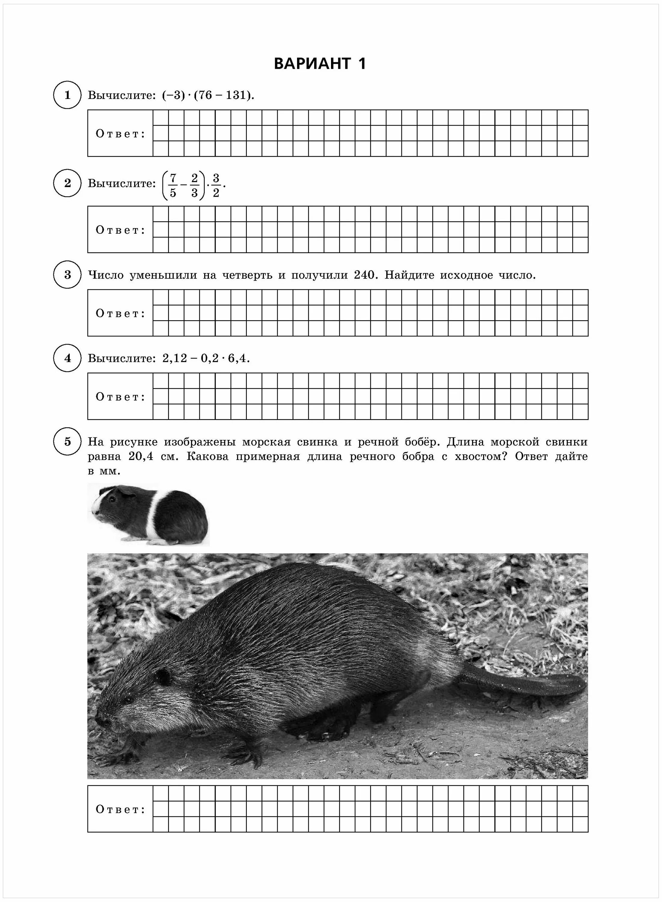 Вольфсон впр математика. Типовые задания впр математика 6. Решу впр математика 6 класс вариант 2863401. Впр 6 класс математика. Впр математика 6 класс виноградова вольфсон.