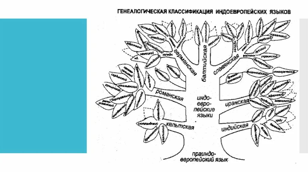 Индоевропейские языки народы