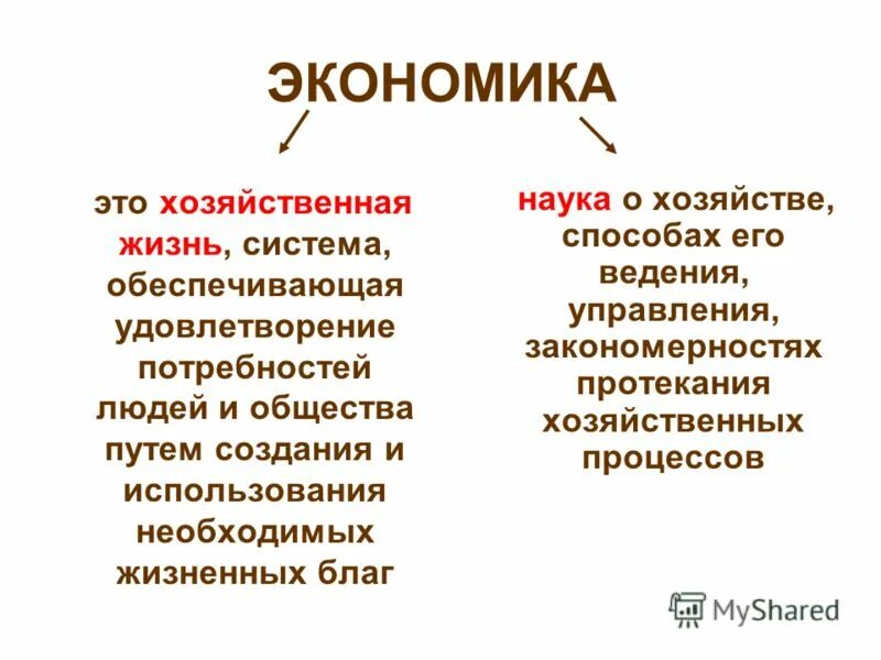 Экономика. Экономика (наука). ТОКЕНОМИКА. Экономика тно.