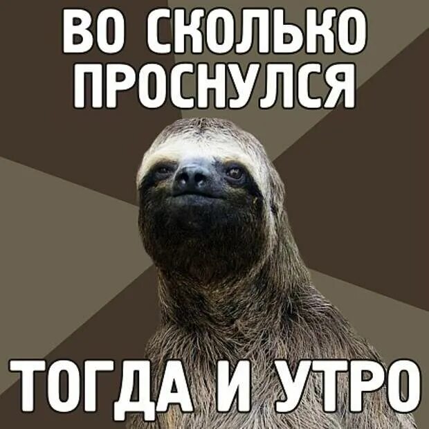 Тогда я встал и выйдя из дома. Ленивец мем. когда проснулся тогда и утро. доброе утро ленивец. я подстригся ленивец.