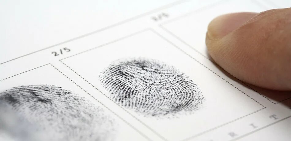 проект отпечатки пальцев в криминалистике. проект про отпечатки пальцев. отпечатки пальцев профессия. отпечатки пальцев. отпечаток пальца фото.