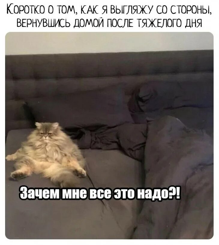 Когда с работы домой. Когда возвращаешься домой. Зачем домой приходит. Зачем домой приходит. Хочется обнять и плакать.