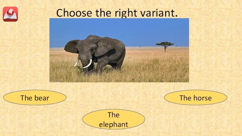Презентация по английскому языку animals i like. Choose the right variant. Choose the answer the Elephant. Choose your variant