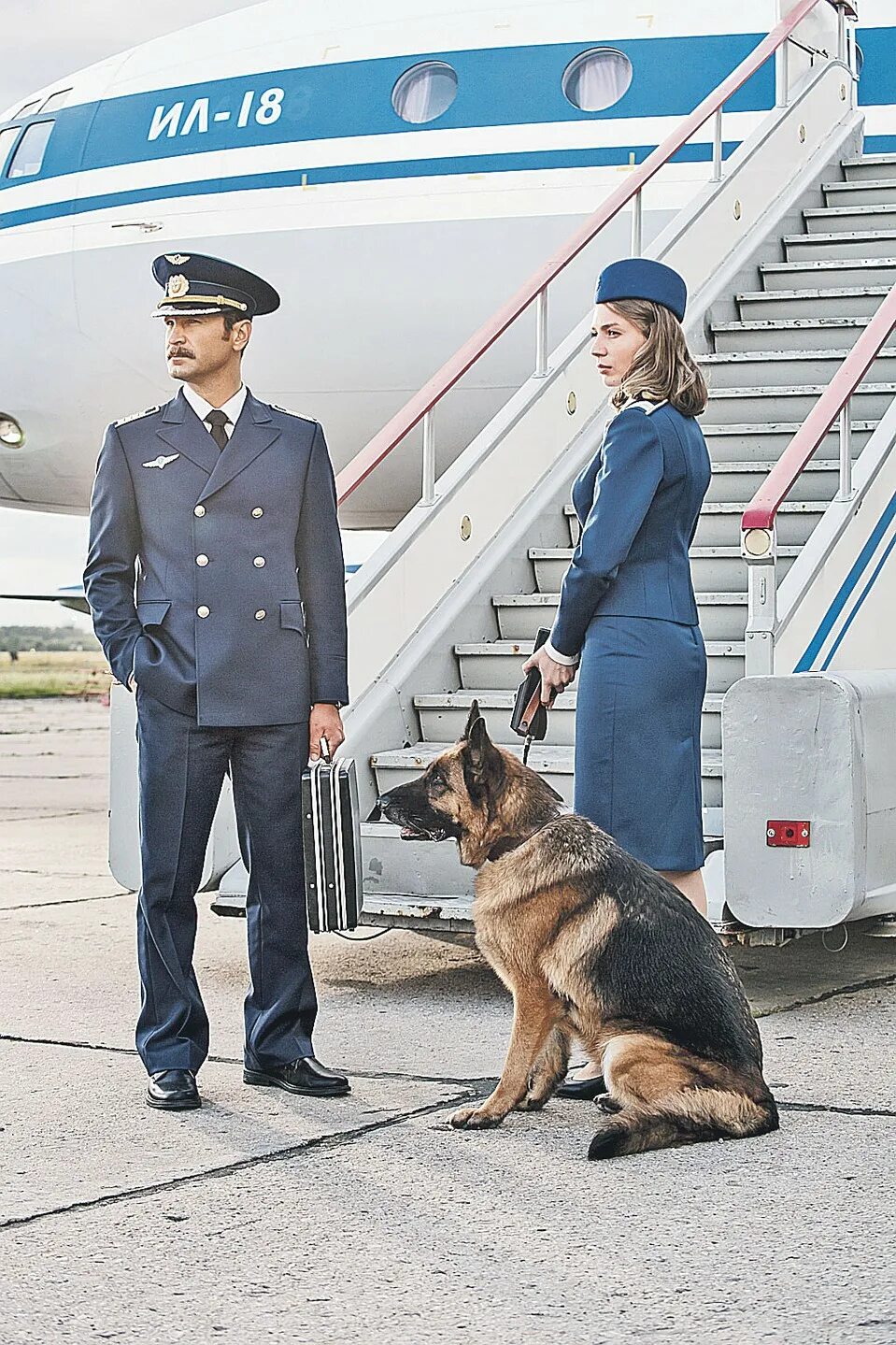 Пальма про собаку. Немецкая овчарка пальма. Пальма собака. Овчарка пальма. Фильм пальма про собаку.