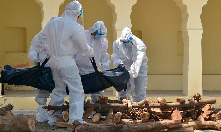 коронавирусом в мире заразились более 388 млн человек. индийская предсказательница арчена.