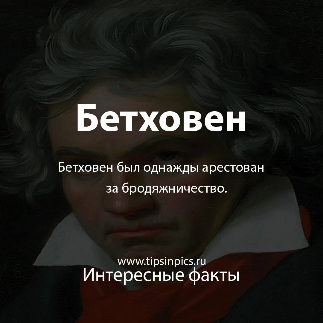 3 интересных факта о бетховене. 5 Фактов о Бетховене. Интересные факты о жизни Бетховена. Интересные факты из жизни Бетховена. Интересные факты о Бетховене 4 класс.