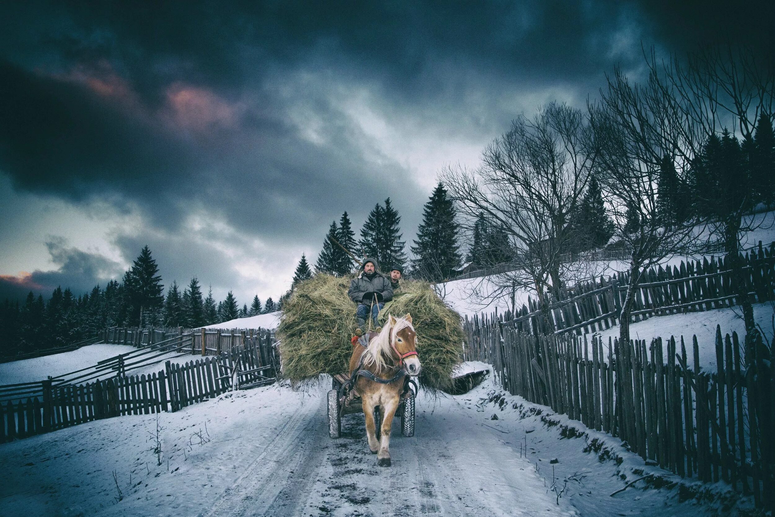 Зима в деревне. Зима деревня лошадь. Лошади в деревне. Лошади зимой.