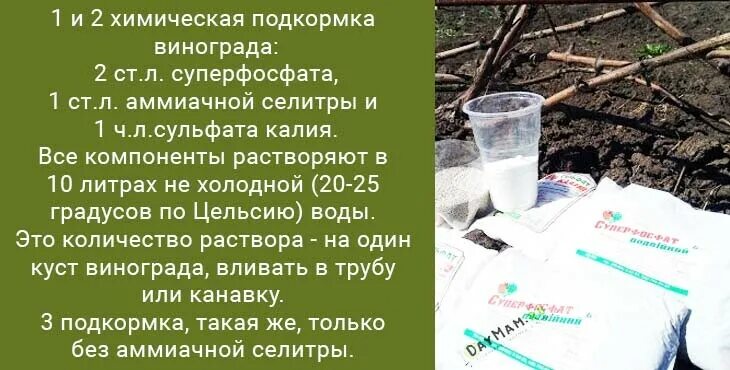 Чем удобрять виноград весной. Подкормка винограда весной схема. Схема подкормки винограда минеральными удобрениями. Таблица Минеральных удобрений для винограда. Удобрение винограда весной таблица.