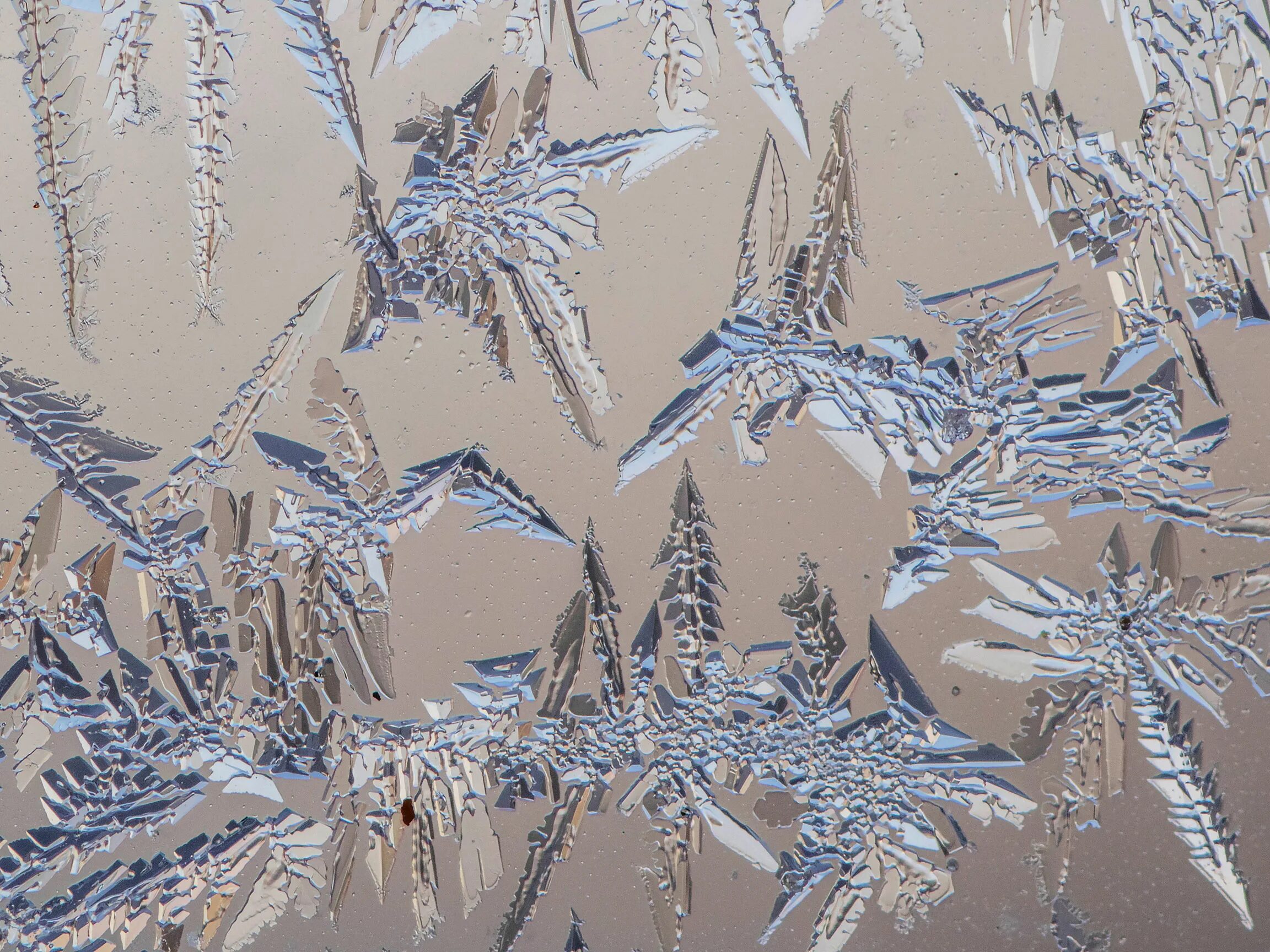 кипяток на морозе. морозные узоры. крегеннан из леда. панно вечерние грезы. морозные узоры на стекле.