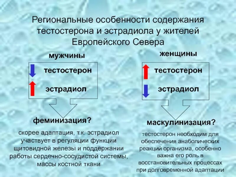 Гормон эстрадиол за что отвечает у мужчин